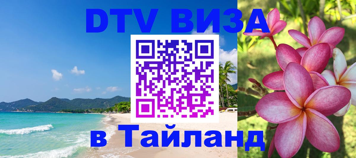 Оформление DTV визы под ключ: стоимость и тарифы, только загранпаспорт - Армавир  18.11.2025 